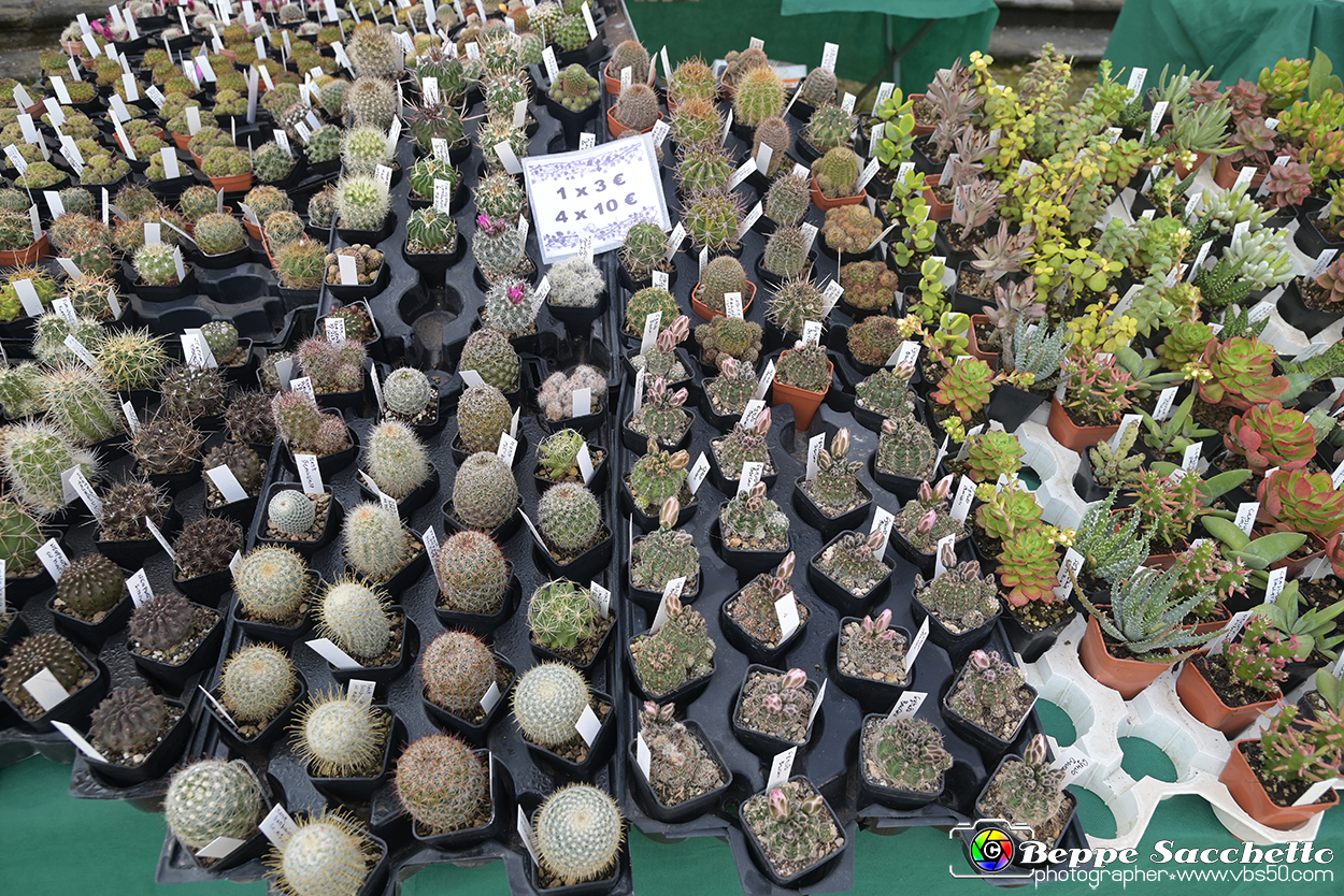 VBS_8999 - Mostra Mercato FloReal 2024.jpg